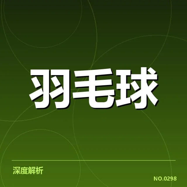 林丹比赛已确认的判罚事实